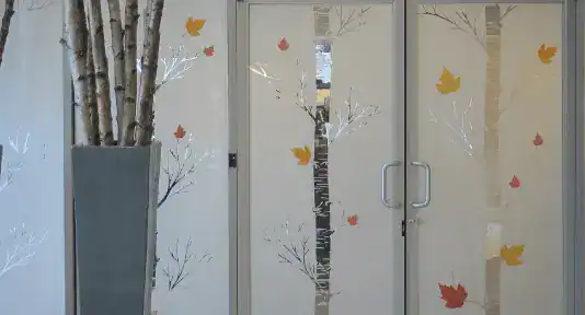 Custom Privacy Window Film