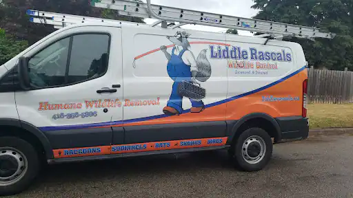 Review Image of Scott Liddle